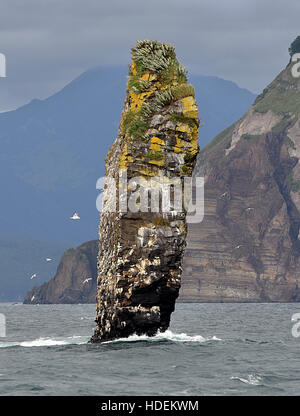 Kamtschatka Halbinsel Russland Stockfoto