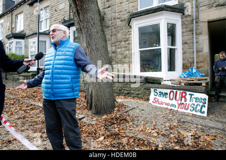 Demonstrant Sheffield Stadtratsbeschluss über 4000 Baum darin fiel ausgeschert sind Stadtgrenzen. Stockfoto