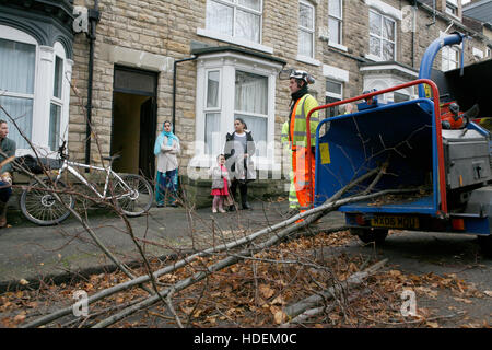 Demonstrant Sheffield Stadtratsbeschluss über 4000 Baum darin fiel ausgeschert sind Stadtgrenzen. Stockfoto