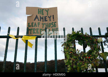 Demonstrant Sheffield Stadtratsbeschluss über 4000 Baum darin fiel ausgeschert sind Stadtgrenzen. Stockfoto