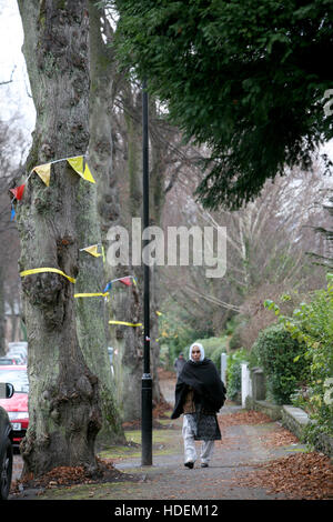 Demonstrant Sheffield Stadtratsbeschluss über 4000 Baum darin fiel ausgeschert sind Stadtgrenzen. Stockfoto