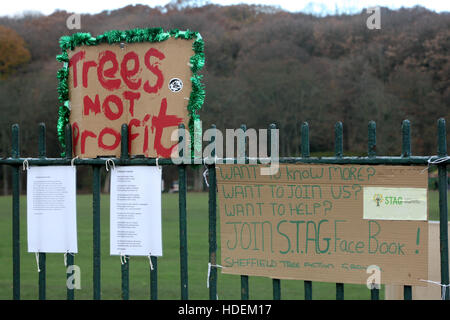 Demonstrant Sheffield Stadtratsbeschluss über 4000 Baum darin fiel ausgeschert sind Stadtgrenzen. Stockfoto