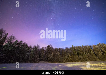 Einer klaren Nacht Sterne zeigt. Wald und gefrorenen See in Estland. Stockfoto