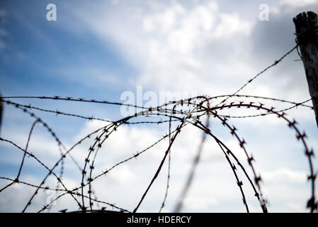 Barbwire Stockfoto