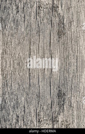 Holzstruktur Hintergrund alte poröse trockene rissige leer im Alter von Holz raue Oberfläche Closeup Materialfarbe natürliche Vintage plank Stockfoto