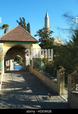 Der Eingang zur Hala Sultan Tekke Moschee, die am Rande des Salzsees in Larnaka Zypern liegt. Stockfoto