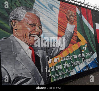 Nelson Mandela - internationale Friedensmauer Cupar Weg, West Belfast, Nordirland, Vereinigtes Königreich Stockfoto