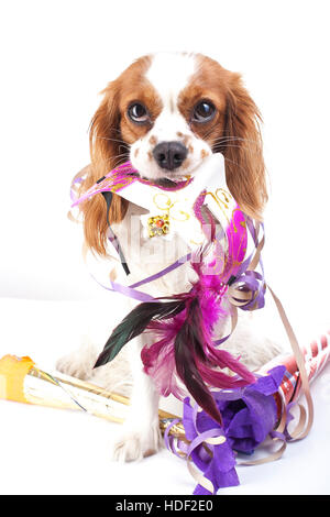 Frohes neues Jahr! Zeigen Sie Ihre Arbeit mit King Charles Spaniel Neujahr Illustration.  Hund feiern Sie Silvester mit Sylvester Trompete. Stockfoto