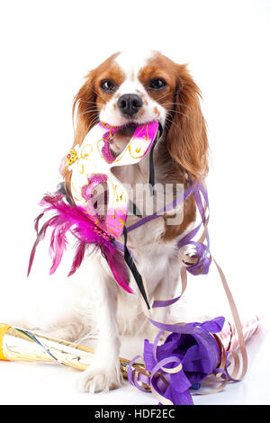 Frohes neues Jahr! Zeigen Sie Ihre Arbeit mit King Charles Spaniel Neujahr Illustration.  Hund feiern Sie Silvester mit Sylvester Trompete. Stockfoto