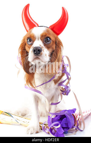 Frohes neues Jahr! Ihre Arbeit illustrieren mit King Charles Spaniel neues Jahr Abbildung. Hund Silvester mit Sylvester Trompete feiern. Stockfoto