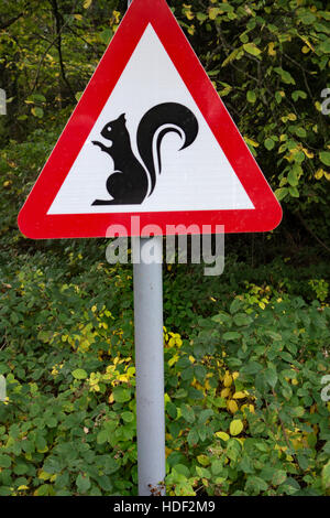 Vorsicht bei Eichhörnchen Straße Warnzeichen in der Isle of Arran, Schottland. Stockfoto