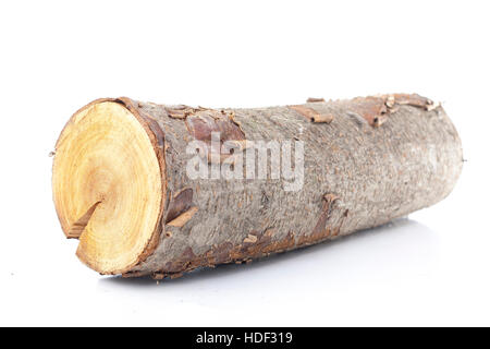 Baum-Stamm-Querschnitt: Baum-Ringe Stockfotografie - Alamy