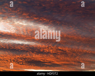 Roter Himmel in der Abenddämmerung - Bild der rosa Himmel - Zwielicht - Sonnenuntergang Farben Stockfoto