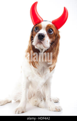 Teufel Hund Illustration. King Charles Spaniel mit Teufel Hut. Böser Hund. Böse Karnevalskostüm. Silvester. Teufel-Schild-symbol Stockfoto