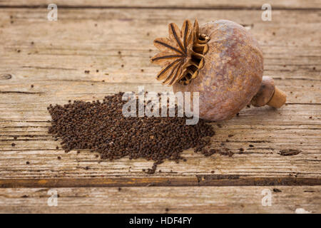 Nahaufnahme der getrocknete Mohn Pod und Samen auf hölzernen Hintergrund Stockfoto