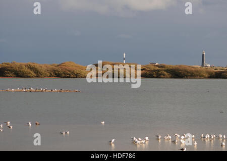 Die alte, auf der rechten Seite und neue Dungeness Leuchttürme mit Dungeness Naturschutzgebiet im Vordergrund. Dungeness, Kent, UK Stockfoto