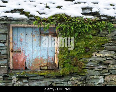 Kleine, alte, rustikale, blau lackierte Holztür in Schieferkellerei mit trockenen Steinmauern, Lakeland, Cumbria, Großbritannien. Stockfoto