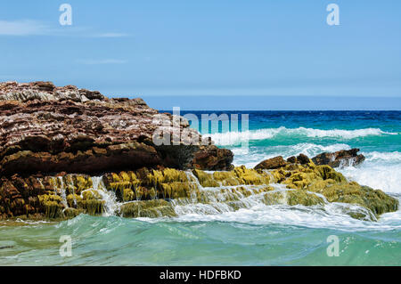 Paläozoikum Sedimentgestein Steinbruch in grüne Algen am Strand, Mallacoota, Victoria, VIC, Australien abgedeckt Stockfoto