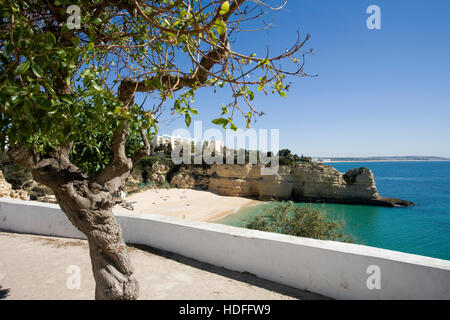 Praia Senhora da Rocha, Armacao de Pera, Algarve, Portugal, Europa Stockfoto