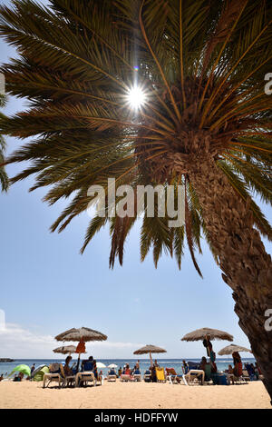 Urlauber, Strahlen Sonne durch Palme am Strand Playa de Las Teresitas, San Andres, Teneriffa, Kanarische Inseln, Spanien Stockfoto