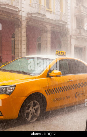 Ein (Agencia de Taxi) registriert Taxi Cab im strömenden Regen in Alt-Havanna, Kuba. Stockfoto