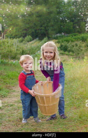 entzückende Bruder und Schwester Geschwister halten Korb tragen Overalls stehen im Hof für Apfel pflücken während Herbst fällt Stockfoto