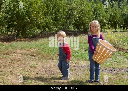 entzückende Bruder und Schwester Geschwister halten Korb tragen Overalls stehen im Hof für Apfel pflücken während Herbst fällt Stockfoto