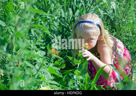 junges Mädchen riechen Zinnie Blumen auf Wiese Stockfoto