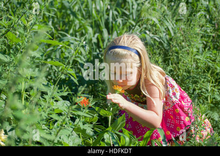 junges Mädchen riechen Zinnie Blumen auf Wiese Stockfoto