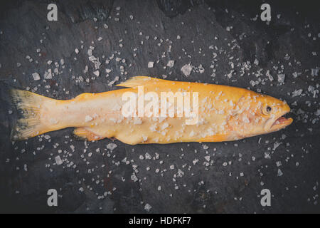 Forelle Fisch Meeresfrüchte rohe Salz würzen Essen Stockfoto