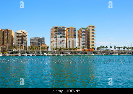 Blick über den Hafen mit Yachten, Boote und Vögel auf dem Wasser in Malaga, Spanien Stockfoto