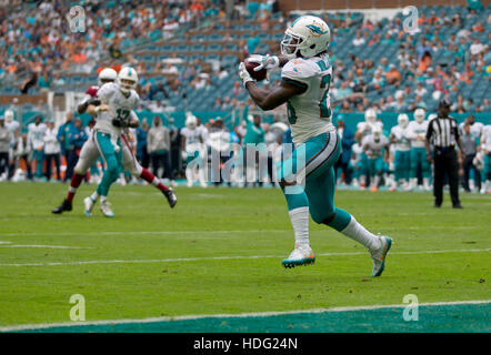 Miami Gardens, Florida, USA. 11. Dezember 2016. Miami Dolphins Runningback Damien Williams (26) fängt einen Touchdown-Pass von Miami Dolphins Quarterback Ryan Tannehill (17) im Hard Rock Stadium in Miami Gardens, Florida am 11. Dezember 2016. Bildnachweis: Allen Eyestone/The Palm Beach Post/ZUMA Draht/Alamy Live-Nachrichten Stockfoto