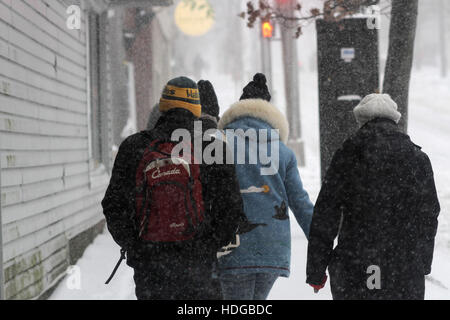 Halifax, Kanada. 12. Dezember 2016. Starke Winde und schwere Schnee schlagen Innenstadt von Halifax, N.S., 12. Dezember 2016. Bildnachweis: Lee Brown/Alamy Live-Nachrichten Stockfoto