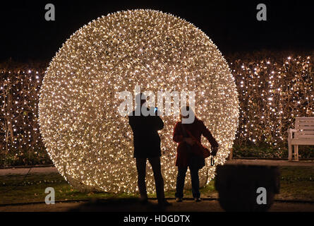 Berlin, Deutschland. 29. November 2016. Besucher Gehen bin Abend des 29.11.2016 Botanischen Garten in Berlin Zwischen Den Mit Lichterketten Illuminierten Bäumen Und Hecken des «Weihnachten Garten». Bis Zum 01. Januar 2017 Können Besucher Auf Einem Mehr als Einen Kilometer Langen Rundweg Spazieren Oder Auf Einer Eisbahn Schlittschuh Laufen. (Zu Dpa Adventskalender Vom 13.12.2016) Foto: Soeren Stache/Dpa/Dpa/Alamy Live News Stockfoto