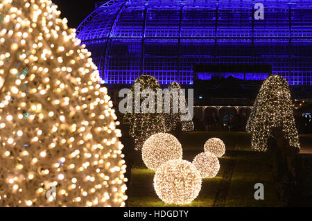 Berlin, Deutschland. 29. November 2016. Besucher Gehen bin Abend des 29.11.2016 Botanischen Garten in Berlin Zwischen Den Mit Lichterketten Illuminierten Bäumen Und Hecken des «Weihnachten Garten». Bis Zum 01. Januar 2017 Können Besucher Auf Einem Mehr als Einen Kilometer Langen Rundweg Spazieren Oder Auf Einer Eisbahn Schlittschuh Laufen. Foto: Soeren Stache/Dpa/Dpa/Alamy Live News Stockfoto