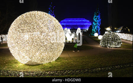 Berlin, Deutschland. 29. November 2016. Besucher Gehen bin Abend des 29.11.2016 Botanischen Garten in Berlin Zwischen Den Mit Lichterketten Illuminierten Bäumen Und Hecken des «Weihnachten Garten». Bis Zum 01. Januar 2017 Können Besucher Auf Einem Mehr als Einen Kilometer Langen Rundweg Spazieren Oder Auf Einer Eisbahn Schlittschuh Laufen. Foto: Soeren Stache/Dpa/Dpa/Alamy Live News Stockfoto