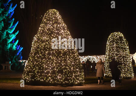 Berlin, Deutschland. 29. November 2016. Besucher Gehen bin Abend des 29.11.2016 Botanischen Garten in Berlin Zwischen Den Mit Lichterketten Illuminierten Bäumen Und Hecken des «Weihnachten Garten». Bis Zum 01. Januar 2017 Können Besucher Auf Einem Mehr als Einen Kilometer Langen Rundweg Spazieren Oder Auf Einer Eisbahn Schlittschuh Laufen. Foto: Soeren Stache/Dpa/Dpa/Alamy Live News Stockfoto