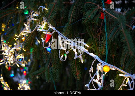 Charistmas Light String Stockfoto