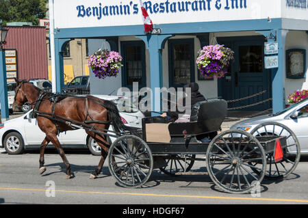 Kanadische Städte: mennoniten fahren tagsüber mit einem Pferdewagen durch die Straßen der Stadt Fergus, Ontario, Kanada. Stockfoto