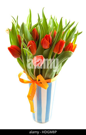 Orange Tulpen in blauer Vase weiß auf weiß Stockfoto