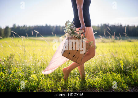 Frau zu Fuß auf ein Feld, das Sammeln von Kräutern in den Warenkorb legen. Stockfoto