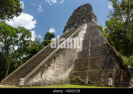 Tempel V, einer Ruine in der archäologischen Stätte der alten Maya-Kultur in Tikal National Park, Guatemala.  UNESCO-Weltkulturerbe. Stockfoto