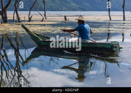 Ein Fischer Paddel seine Cayuco auf See Atitilan in San Pedro la Laguna, Guatemala.  Stehende tote Bäume spiegeln sich in dem ruhigen Wasser.  Seespiegel hat ris Stockfoto