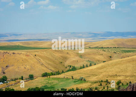 Endlose goldene Farbe kasachischen Rasen Landschaft Stockfoto