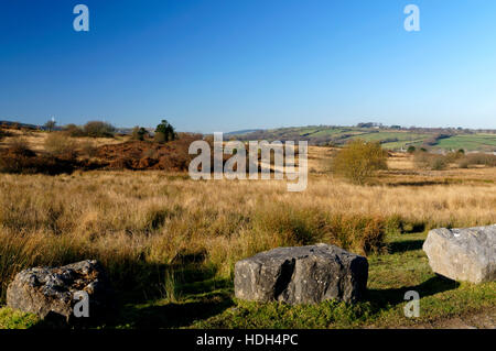 Llantrisant Common, Rhondda Cynon Taf, South Wales Valleys, Wales. Stockfoto