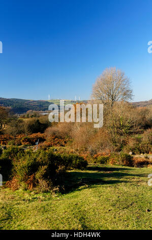 Llantrisant Common, Rhondda Cynon Taf, South Wales Valleys, Wales. Stockfoto