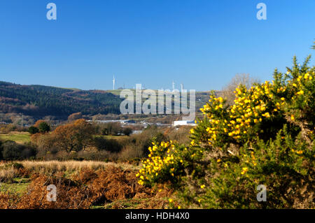 Llantrisant Common, Rhondda Cynon Taf, South Wales Valleys, Wales. Stockfoto