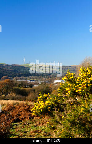 Llantrisant Common, Rhondda Cynon Taf, South Wales Valleys, Wales. Stockfoto