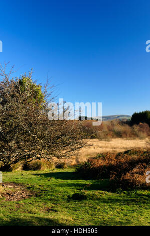 Llantrisant Common, Rhondda Cynon Taf, South Wales Valleys, Wales. Stockfoto