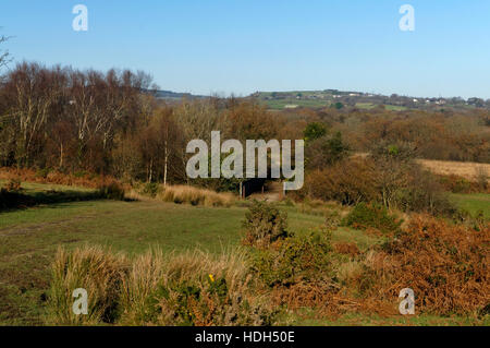 Llantrisant Common, Rhondda Cynon Taf, South Wales Valleys, Wales. Stockfoto